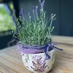 Casa de Férias Kleine Auszeit In Der Mit Kamin, Yogamatten, Schoene Kueche
