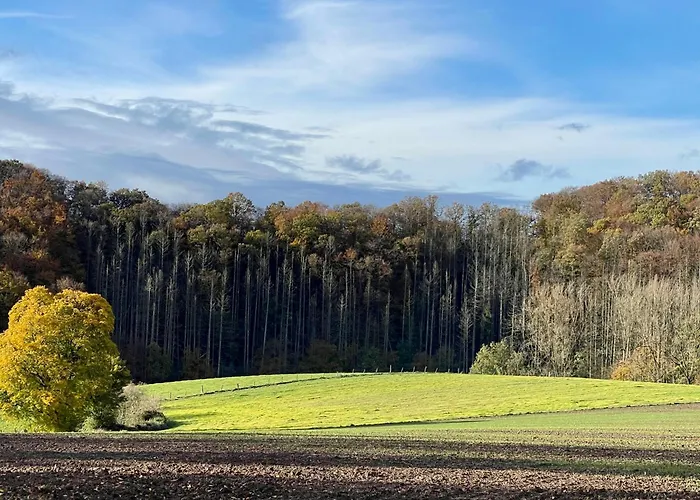 Kleine Auszeit In Der Mit Kamin, Yogamatten, Schoene Kueche Vakantiehuis *