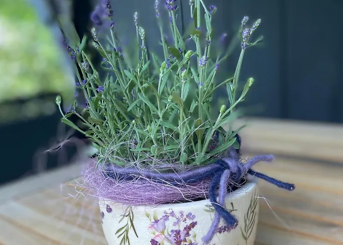 Ferienhaus Kleine Auszeit In Der Mit Kamin, Yogamatten, Schöne Küche